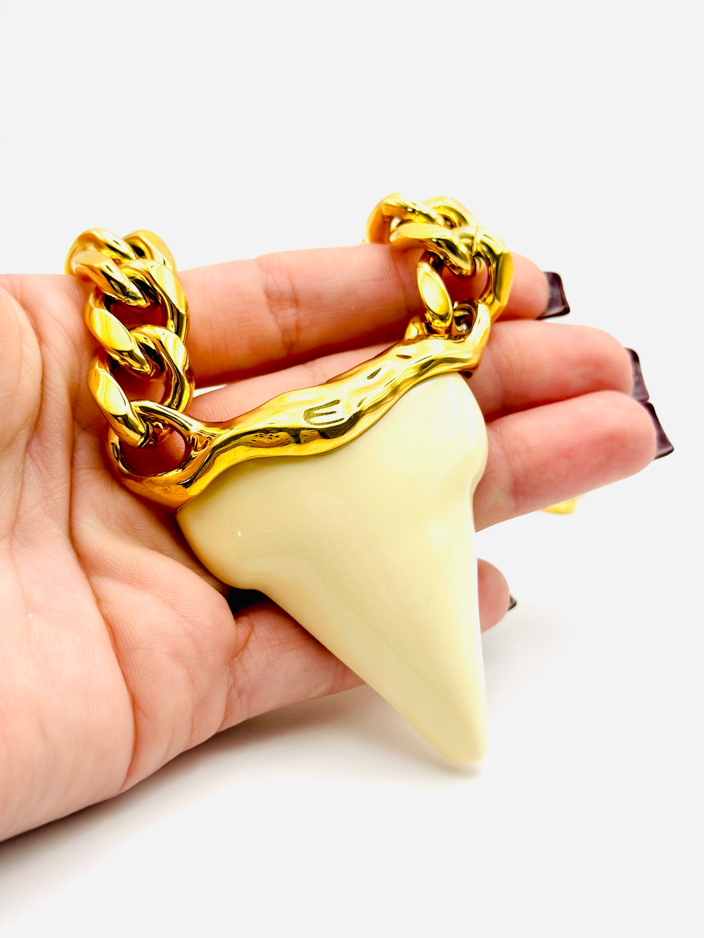 SHARK TOOTH 🦷