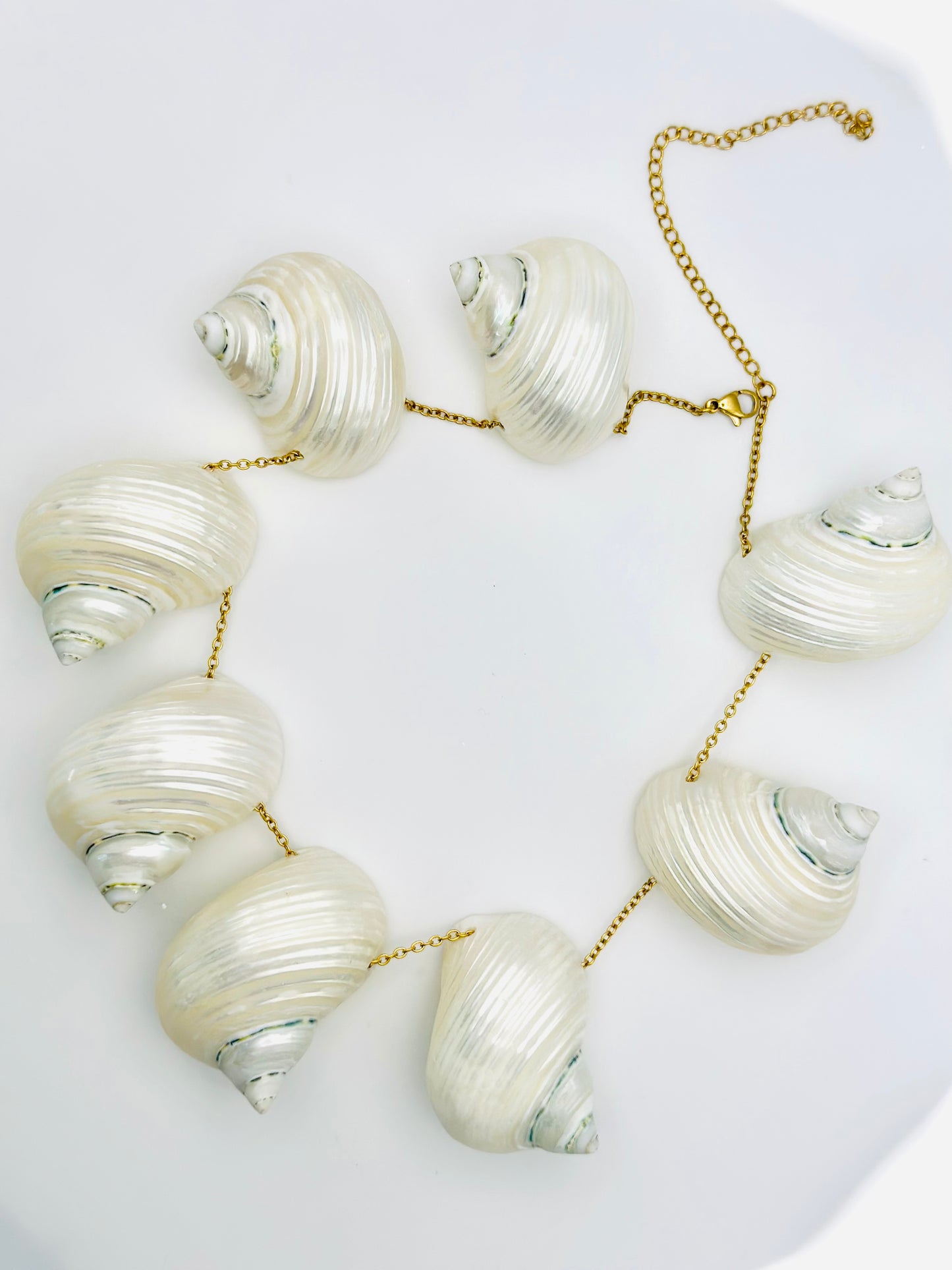 NATURAL CONCH NECKLACES