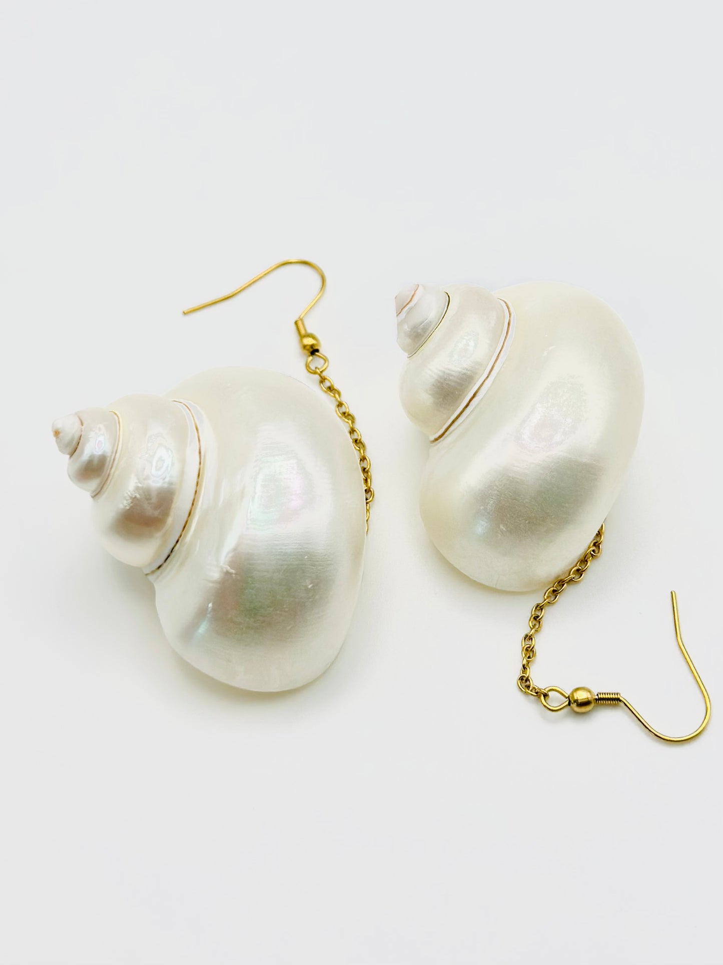 NATURAL CONCH EARRINGS