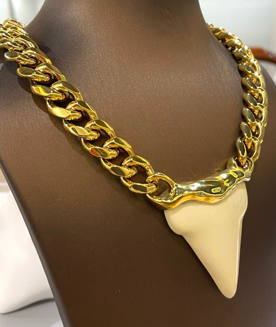 SHARK TOOTH 🦷